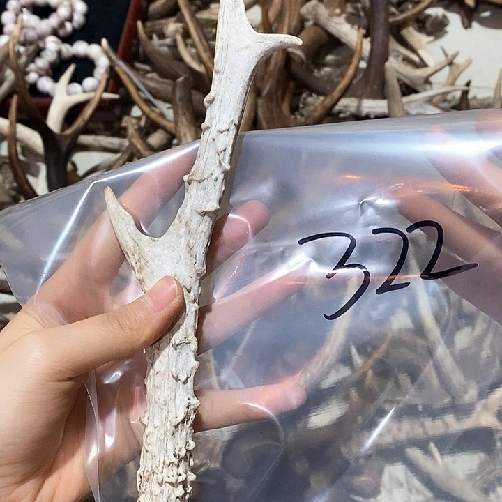 鹿角鹿角鹿角鹿角鹿角