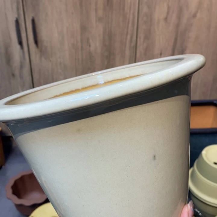 紫砂花盆舍**容福利来啦