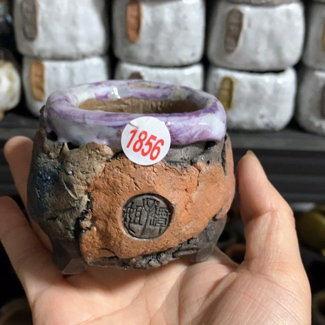特价处理，处理不退不换