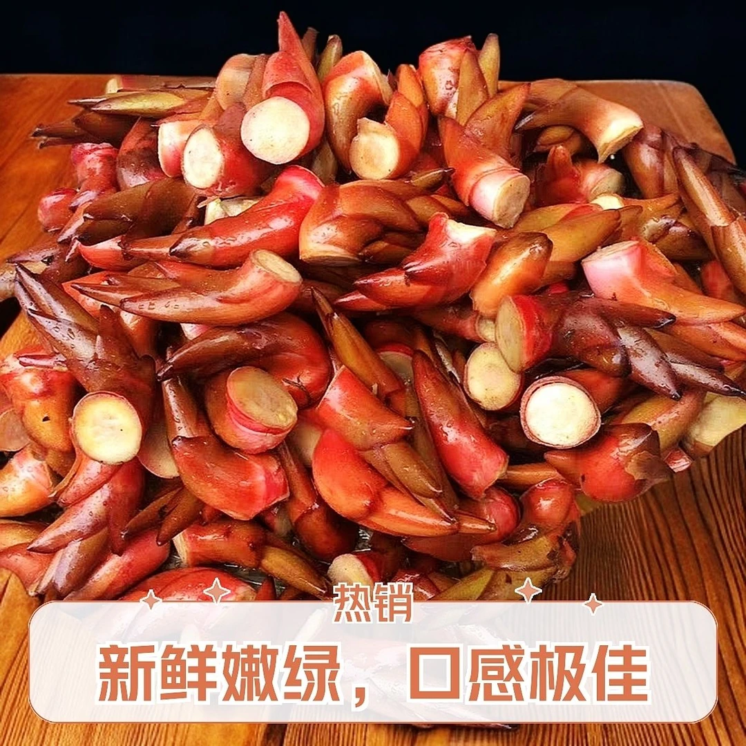 云南特产草果芽新鲜采摘文山风味特色凉拌菜草果树的芽的带壳发货