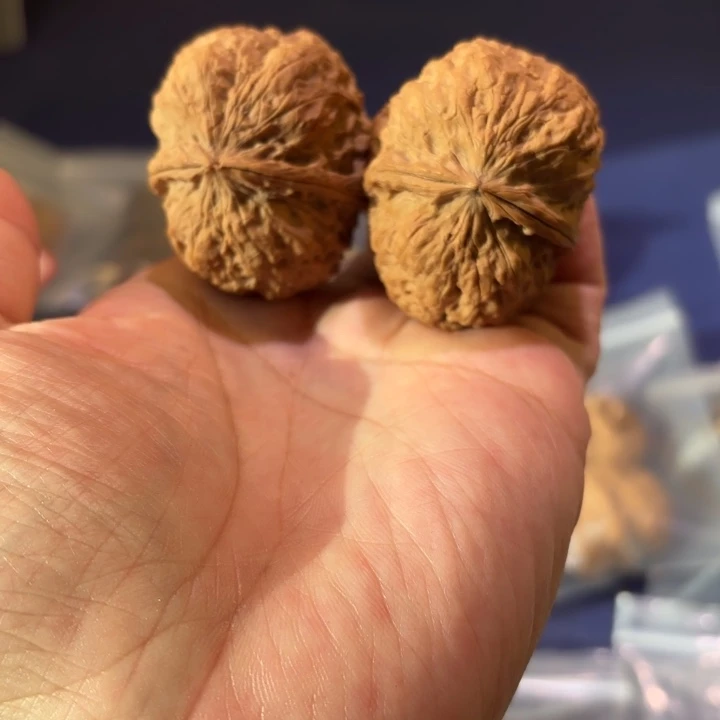 文玩核桃吊坠琵琶蟾王