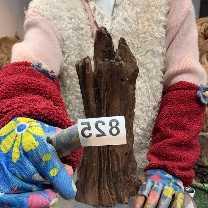 八***5紫砂壶等传统文化的传承与