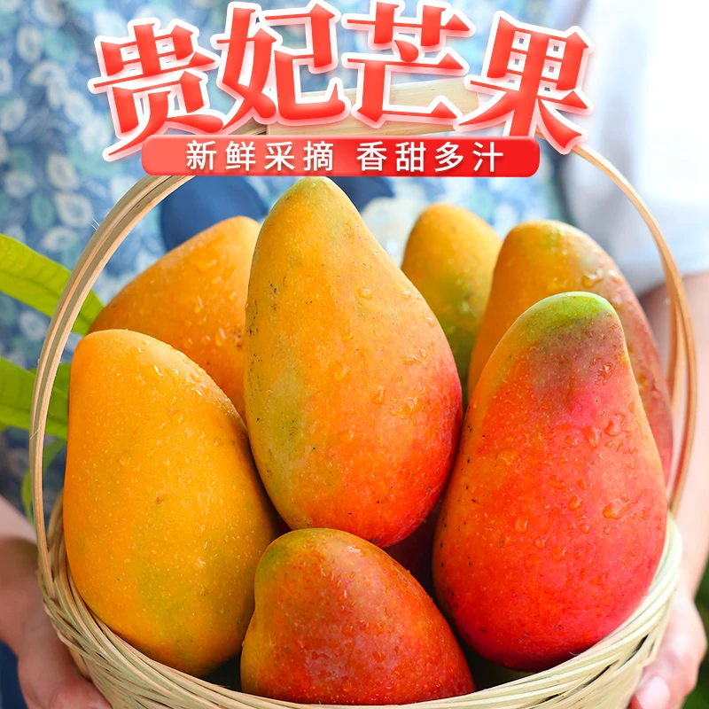裕百果贵妃芒带箱5斤单果250-400g大果