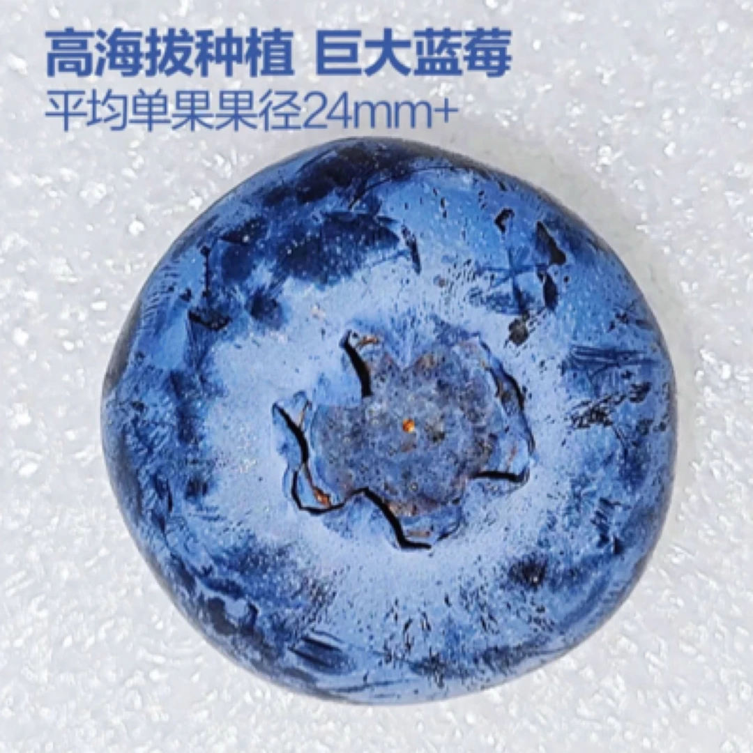 云南24mm➕大蓝莓 巨大‼️（一盒125g）云南蓝莓云南省西双版纳傣族自治州