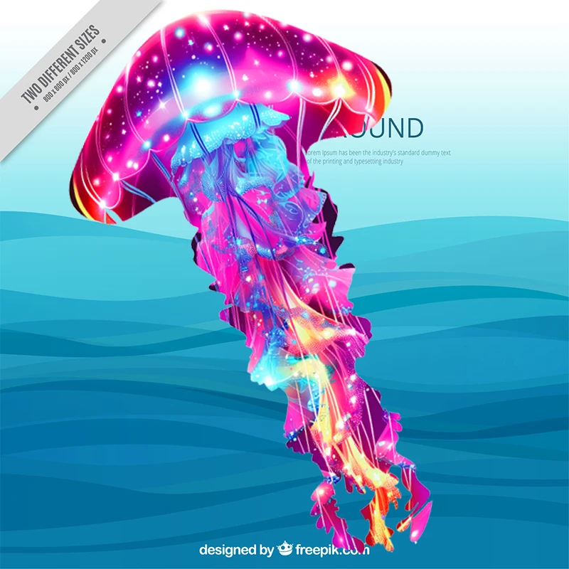 潍坊新款风筝儿童微风易飞卡通初学者大人成人专用长尾好飞水母