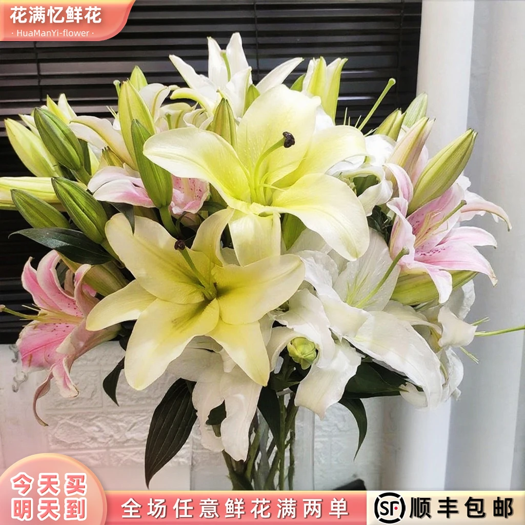 次日达 -【五彩香水百合】混色百合6-8朵鲜花鲜切花家居任意两单顺丰包邮三单送随机花瓶今天拍明天到l;