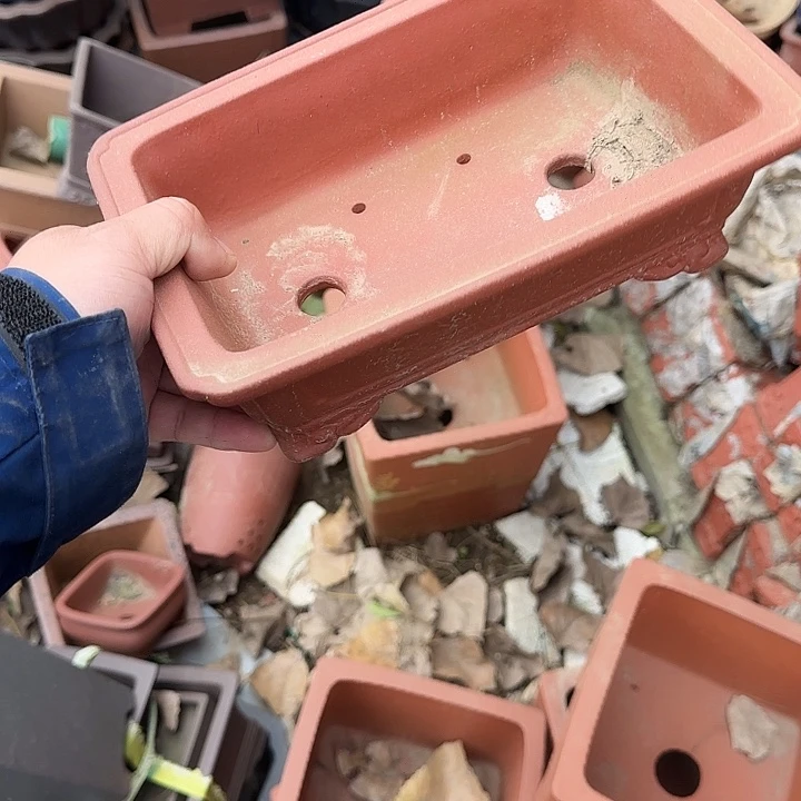 你要吃好了我才给他们打了两