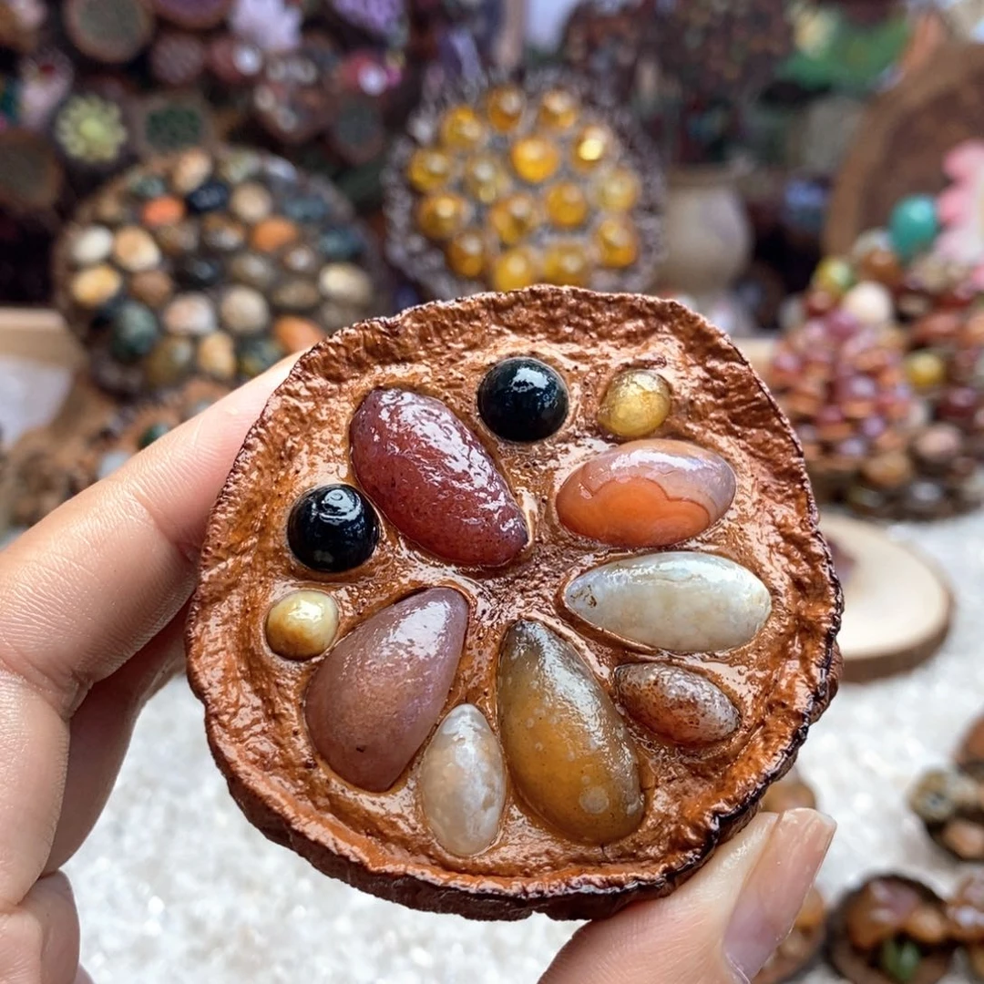 木石院子莲蓬内小鱼