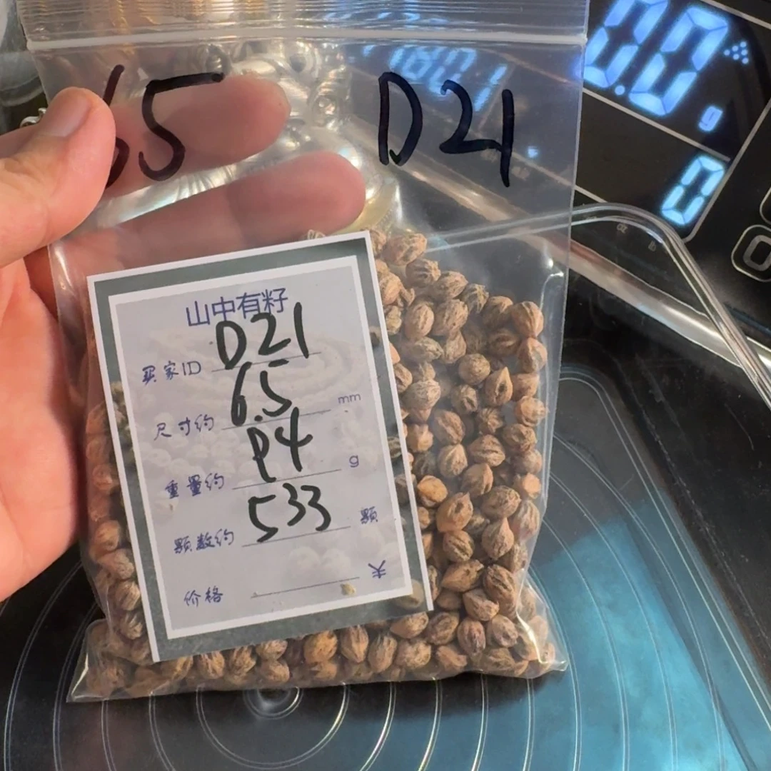 小***孩吊坠柏香籽/百香籽