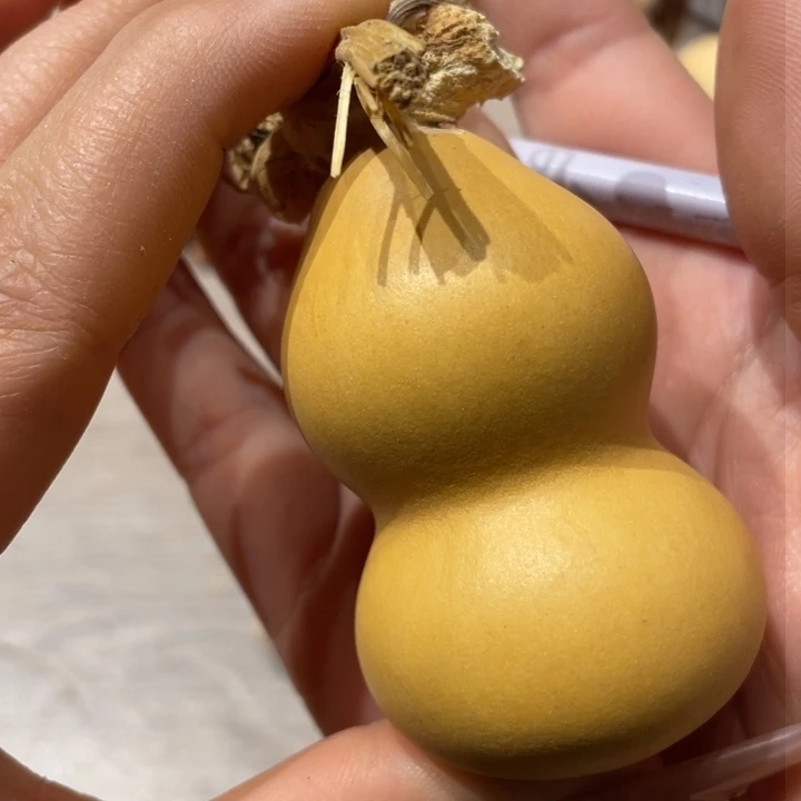 阳*下葫芦葫芦葫芦葫芦