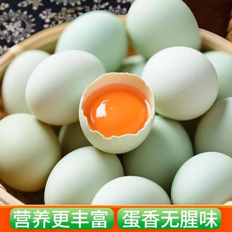 散养绿壳乌鸡蛋新鲜现捡精品蛋营养美味健康