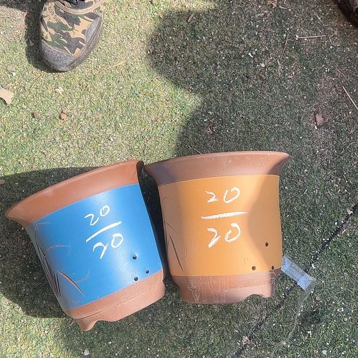 红陶紫砂工艺厂……紫砂工艺厂