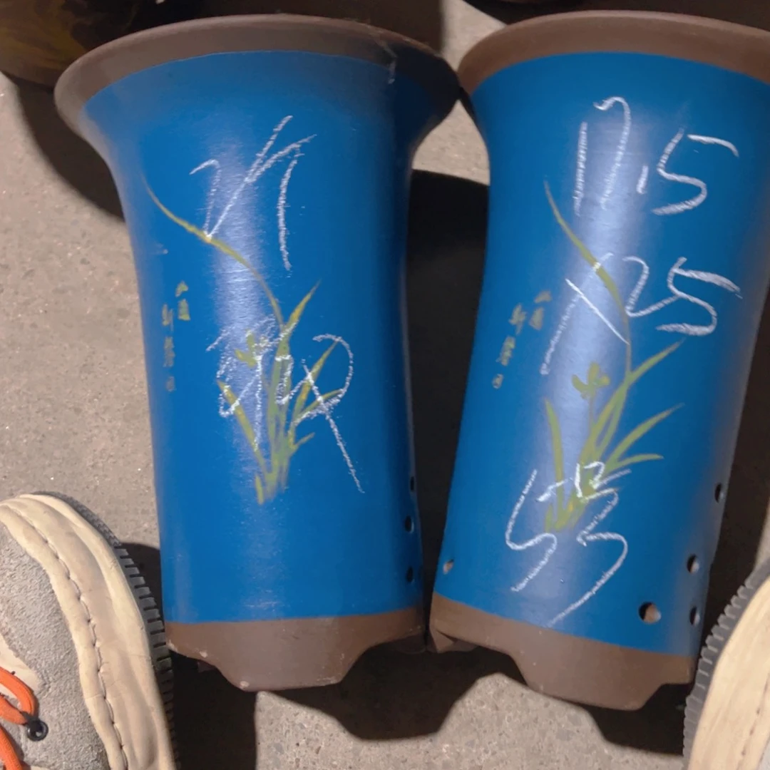 紫砂5号………………………………