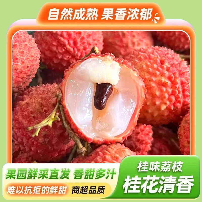 （南沙老树桂味）广东南沙桂味荔枝当天摘当天发（京东冷链）