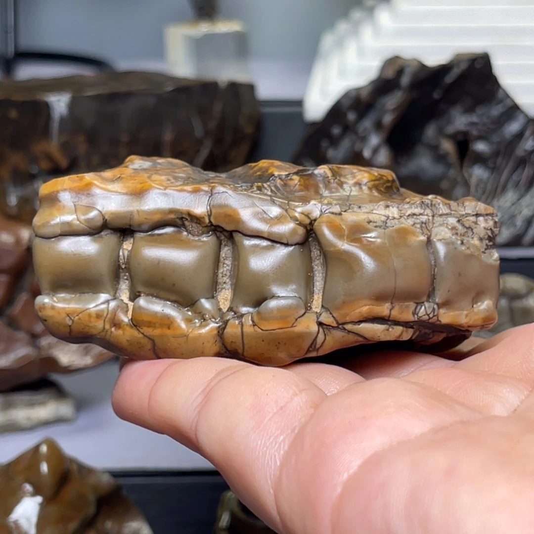 石材阿拉善戈壁石原石有脱