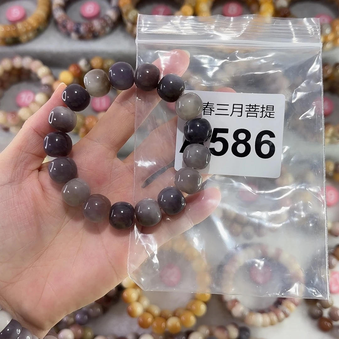 吊坠菩提根/象牙果