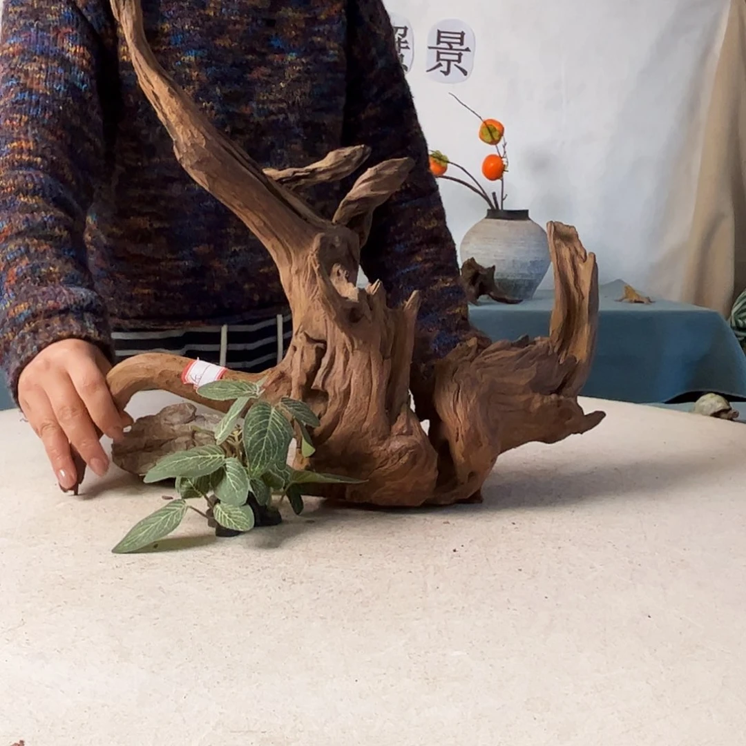 沉木造景爬宠造景