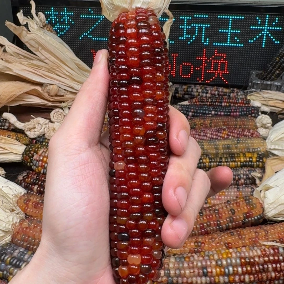 柏香籽/百香籽吊坠?****鱼