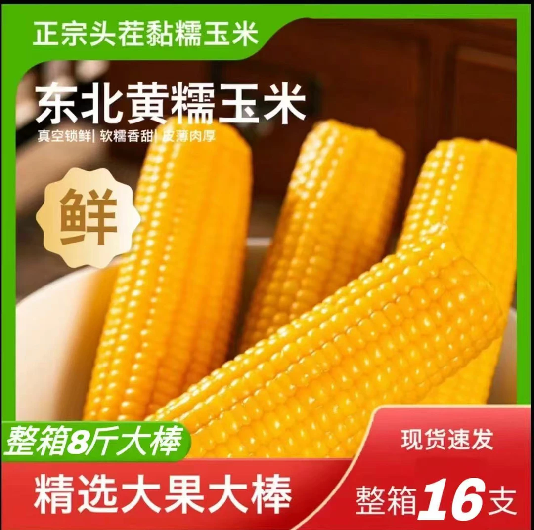 【整箱16根】东北黄糯玉米真空锁鲜产地直发整箱8斤(试吃6根)
