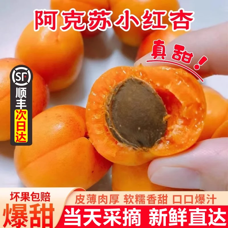 【明天到】新疆阿克苏四团吊干杏小红杏小白杏顺丰包邮净重3斤新疆维吾尔自治区