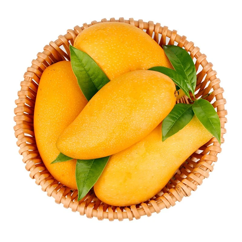 【粉丝福利】云南头茬大金煌芒果4.5斤 当季热带新鲜水果