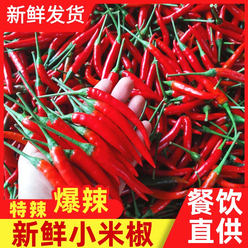 【云南正宗小米辣】特辣爆辣新鲜小米椒露天种植辣椒剁椒泡椒1-9斤