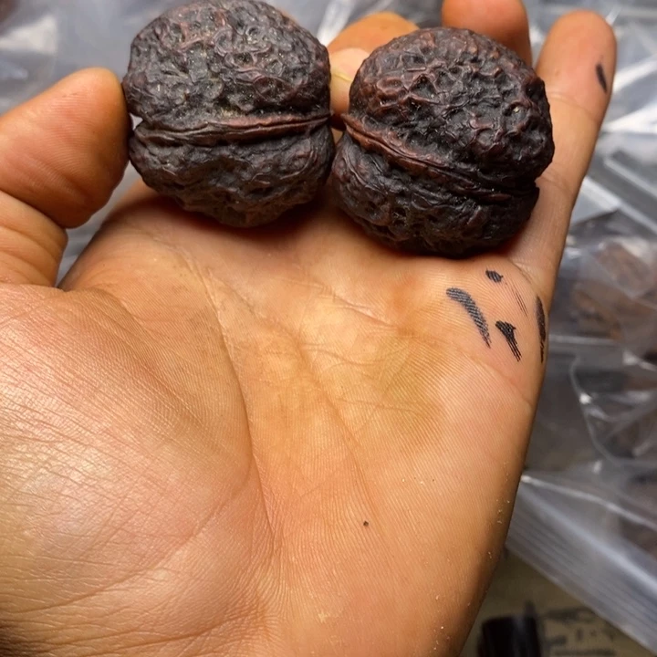 文玩核桃把件云南铁核桃14号