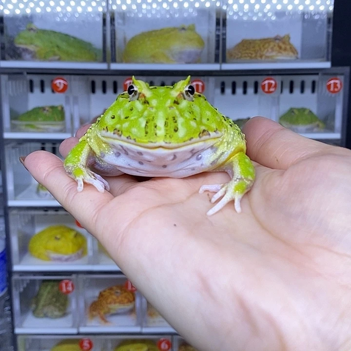 特价秒杀现货特价