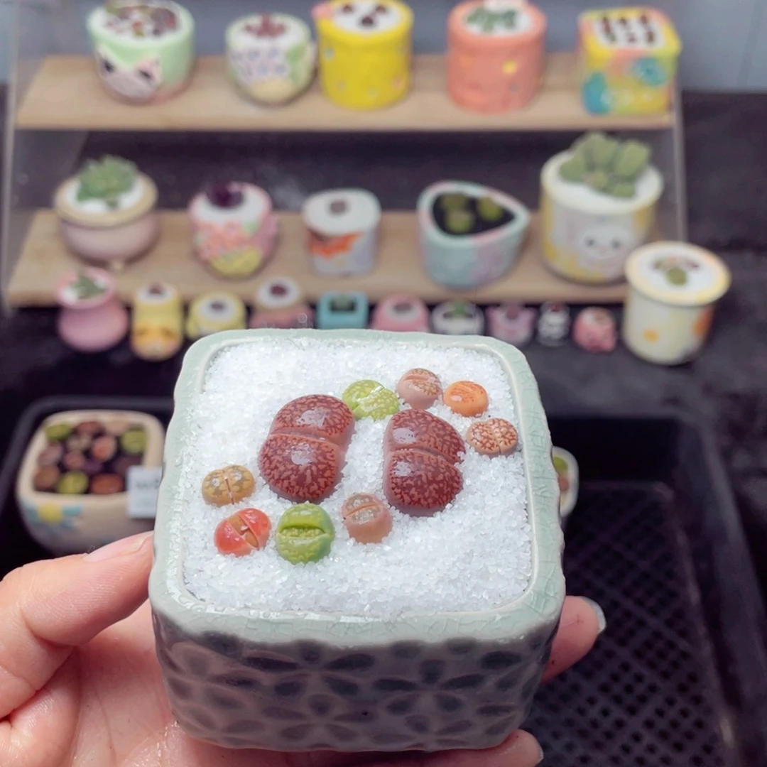 w8914 带盆土发货-零下地区拍保温箱