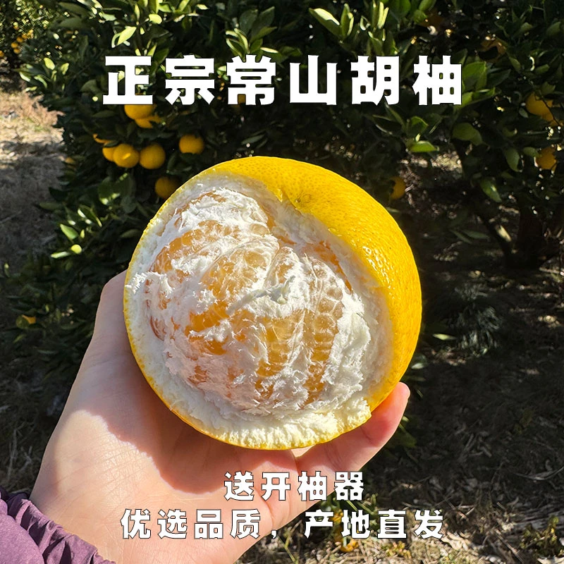 老魏常山直升胡柚正宗新鲜柚子自家种植当季孕妇水果酸甜可口多汁