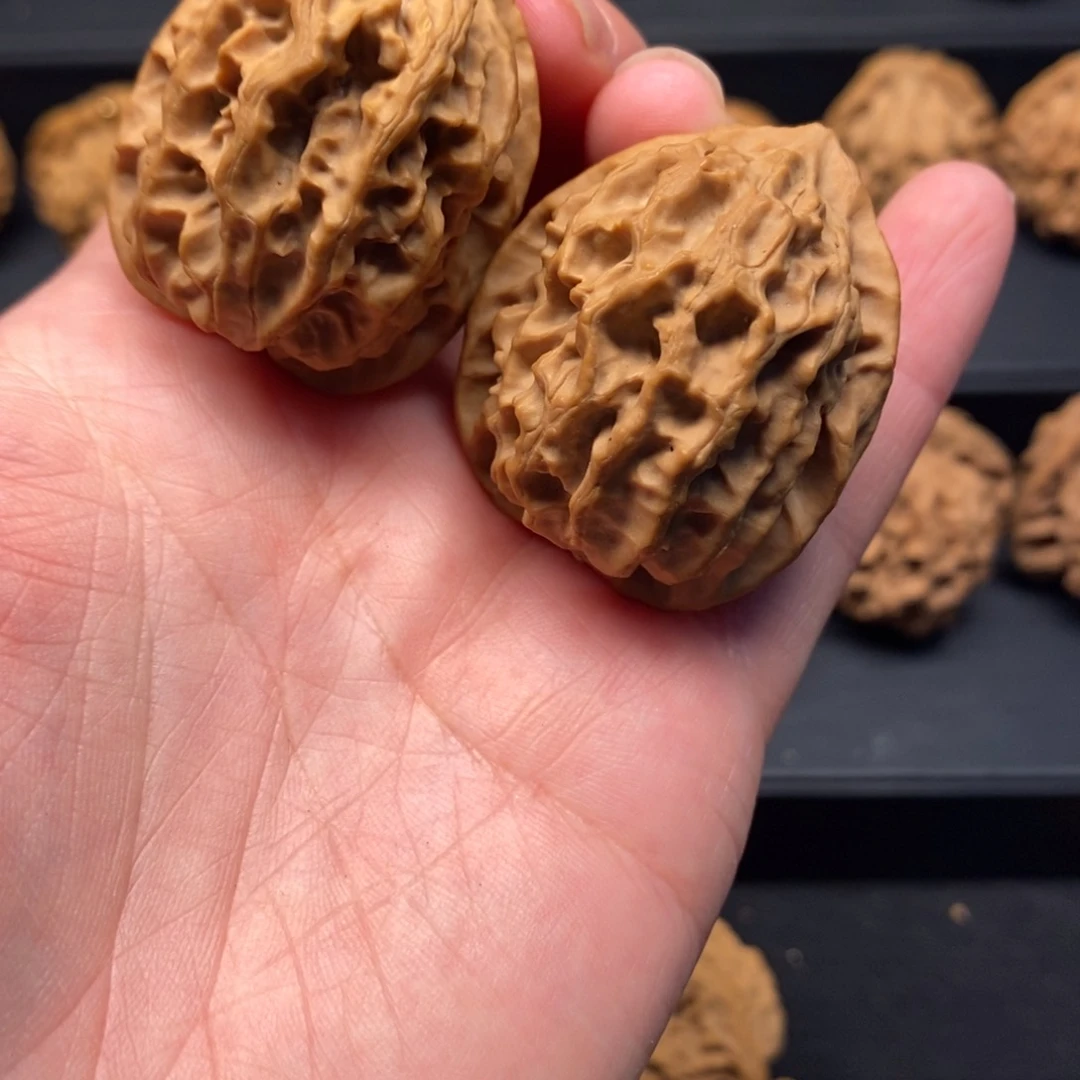 秦岭野生核桃将军