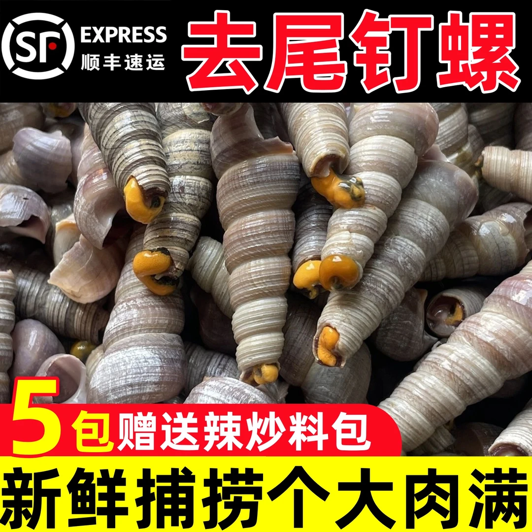 鲜活速冻去尾带黄免处理钉螺麻辣钉螺新鲜捞汁海鲜商用送料包