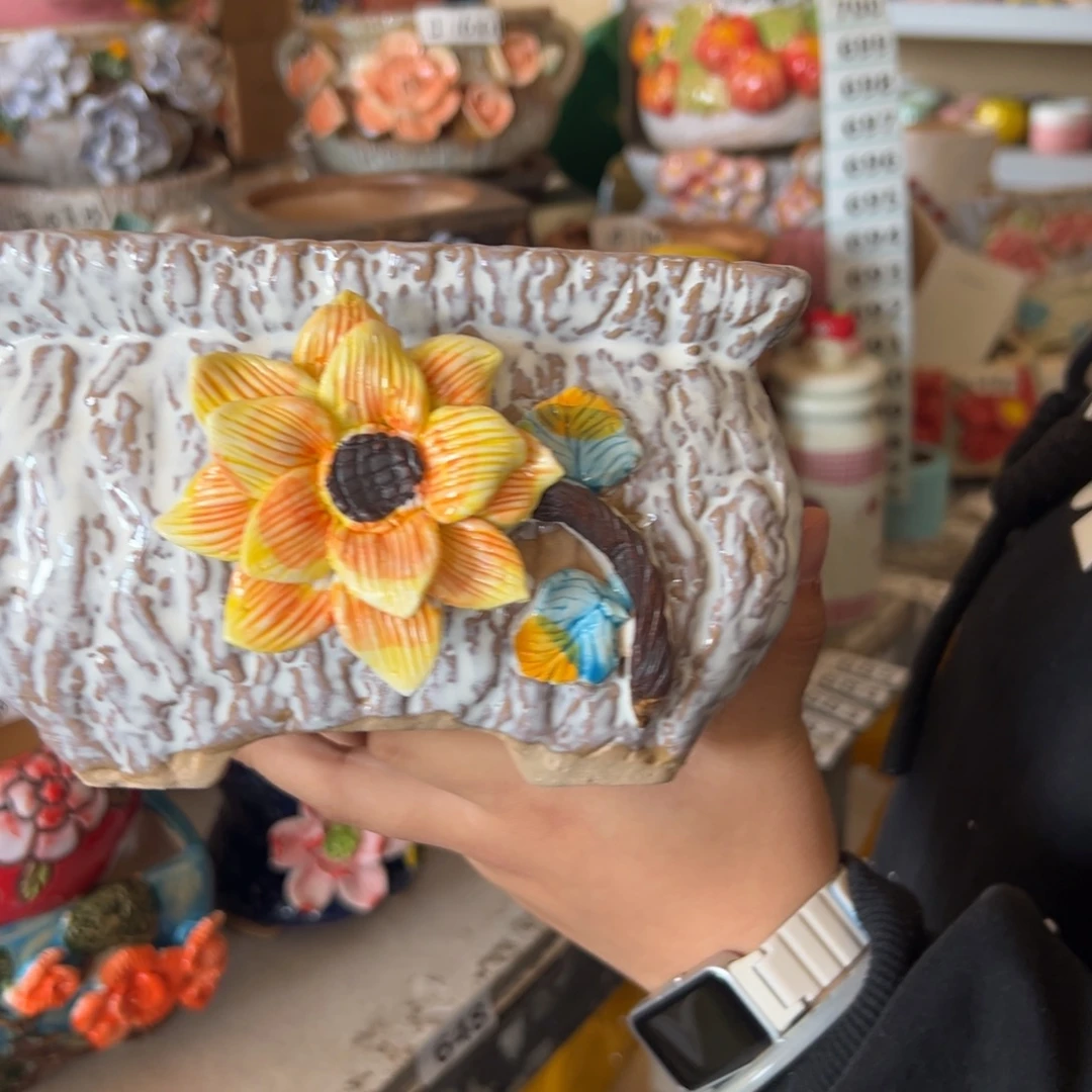 花盆，拍满20发货，退款拉黑