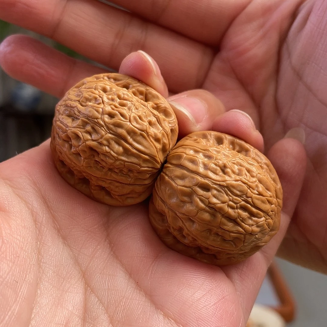 桃核把件34×31尺野生夜明珠（微蹭尖）CN01459