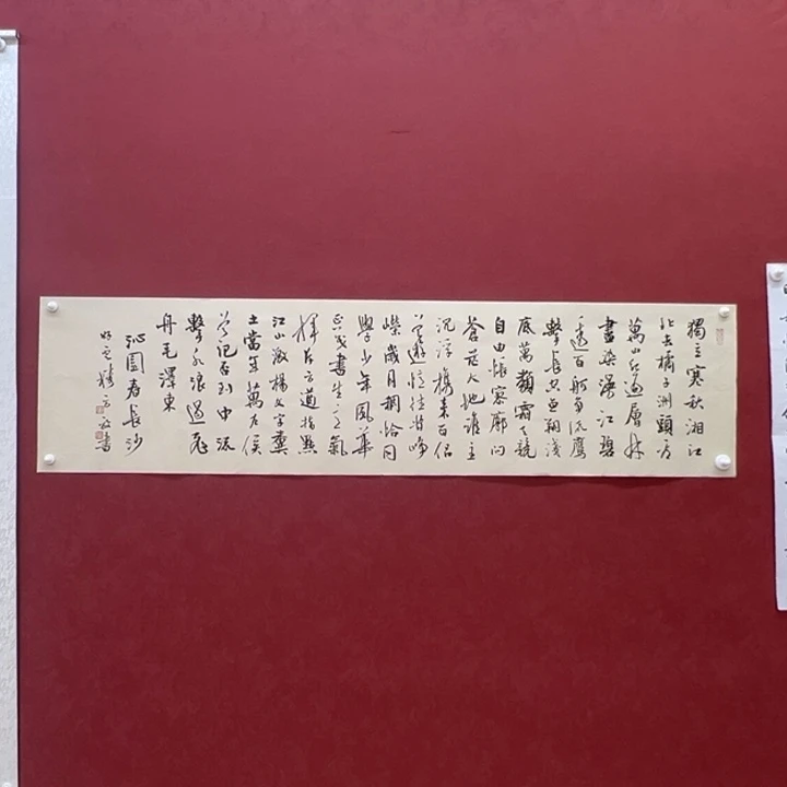 国画你你你你你你你你