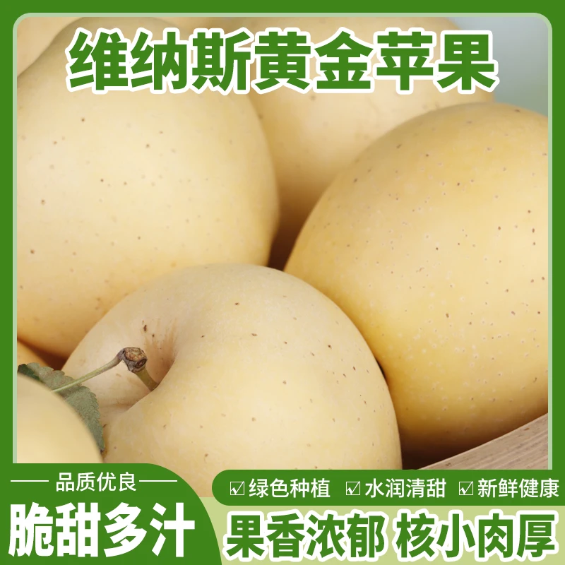 新鲜苹果黄金维纳斯4.5斤