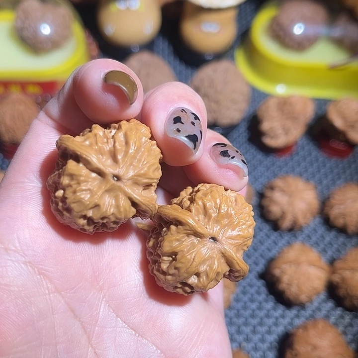 小野狼全品打好底的29