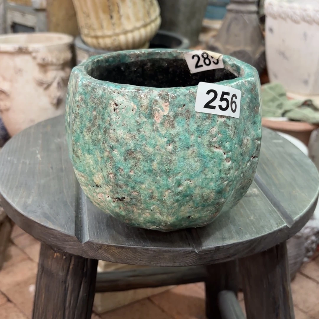 许纯的花房绿色256