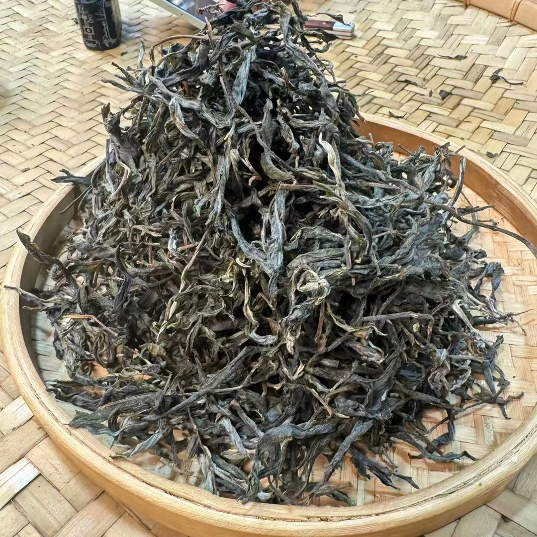 【小刚家的茶】6-8【LC309】2025年邦东昔归古树单株 散生（晒青毛茶）