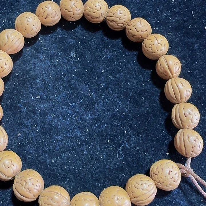 1号野生桃核盘锦宽琪金豆