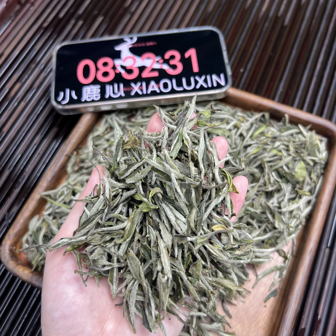 2025牡丹王 ① 小鹿收茶 福鼎白茶  9月20***