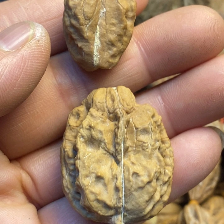 文玩核桃吊坠娜姐146