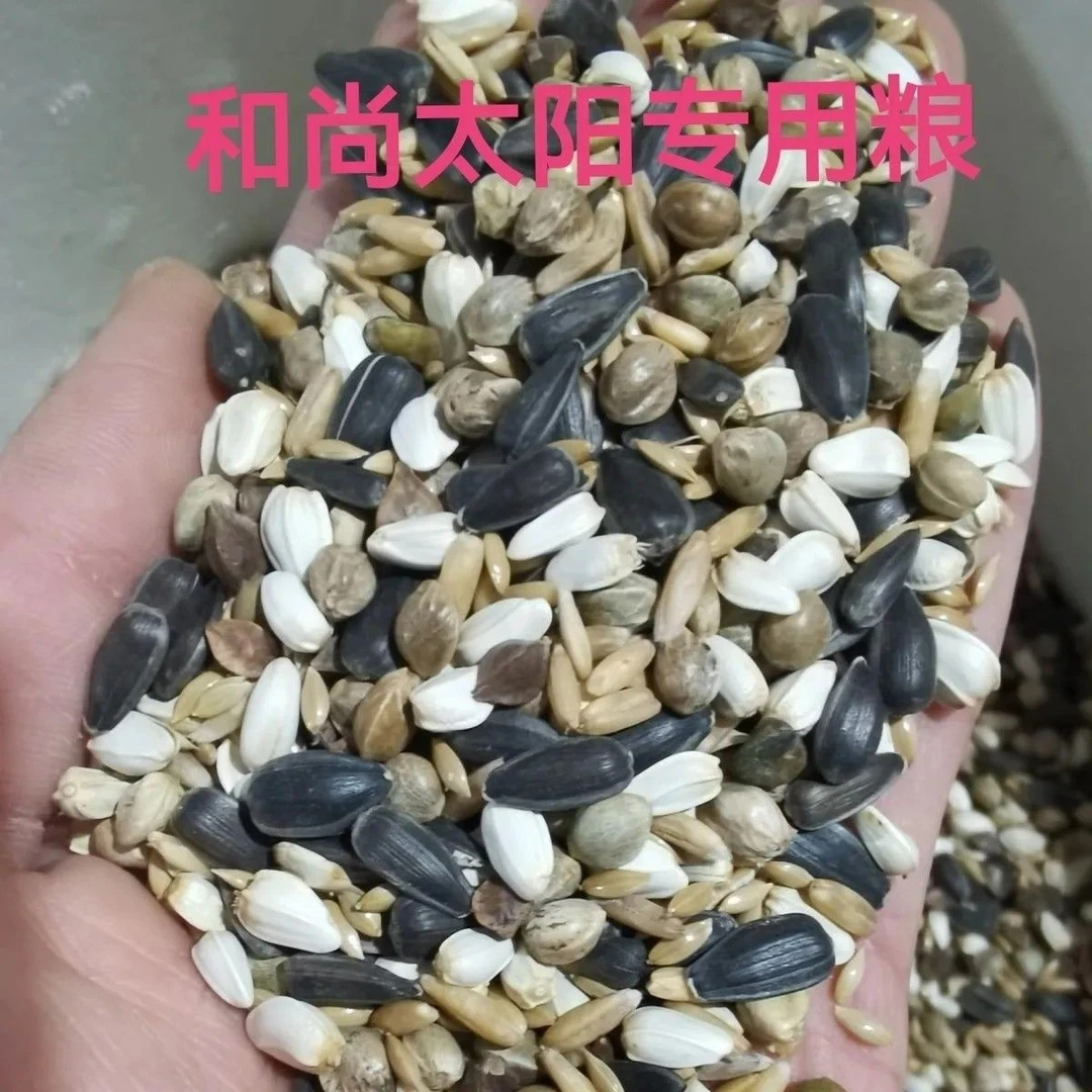 混合金太阳和尚大型增肥小鸡饲料0-6个月鹦鹉粮食玄凤种子饲料