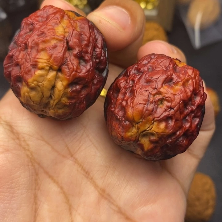 把件文玩核桃40尺至尊疙瘩包