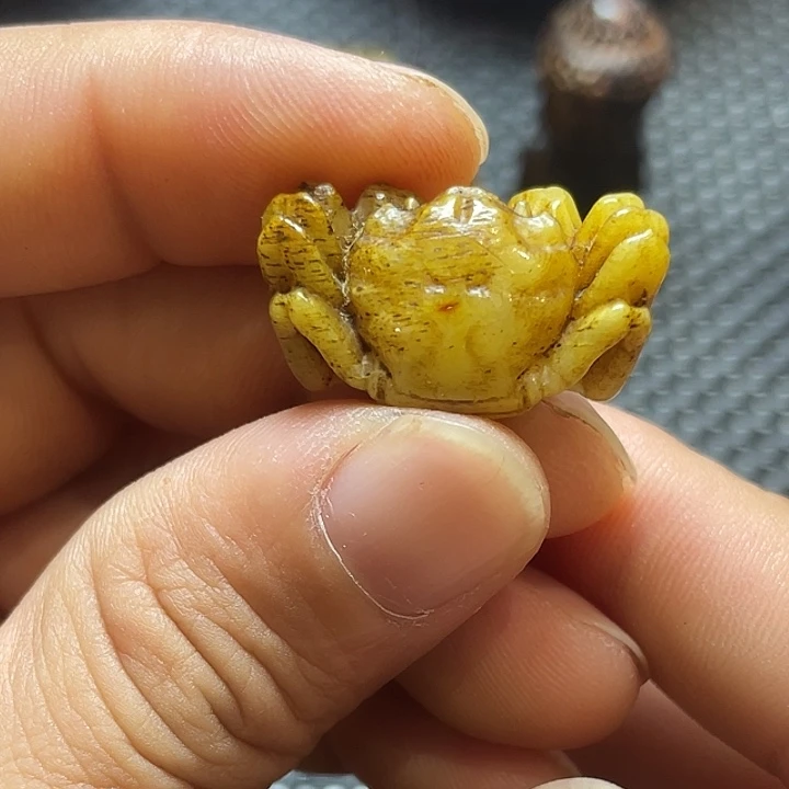 大果紫檀（缅甸花梨）福利多多