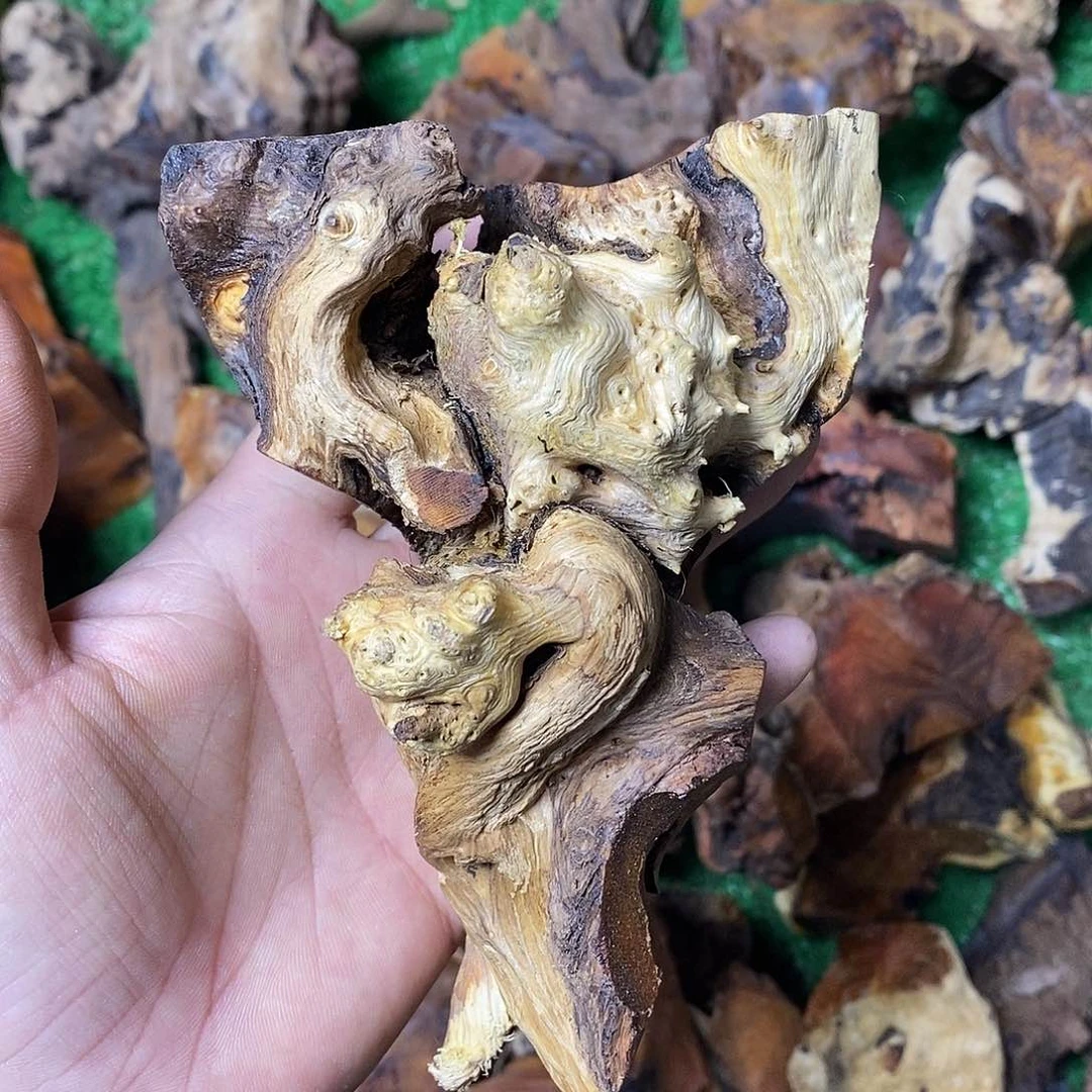 麻利疙瘩子*506688686