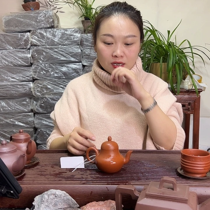 紫砂茶壶宜兴紫砂