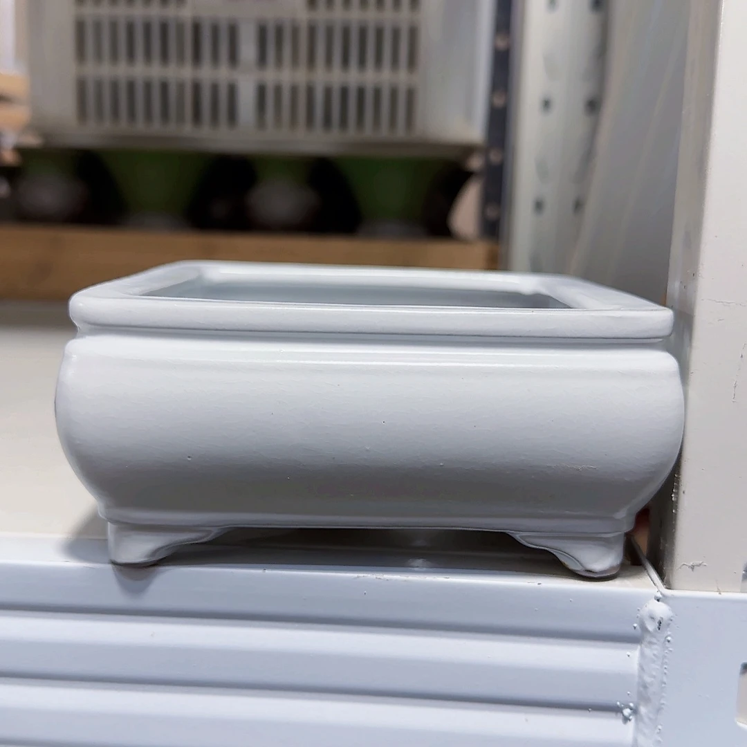 陶瓷花盆特价上新