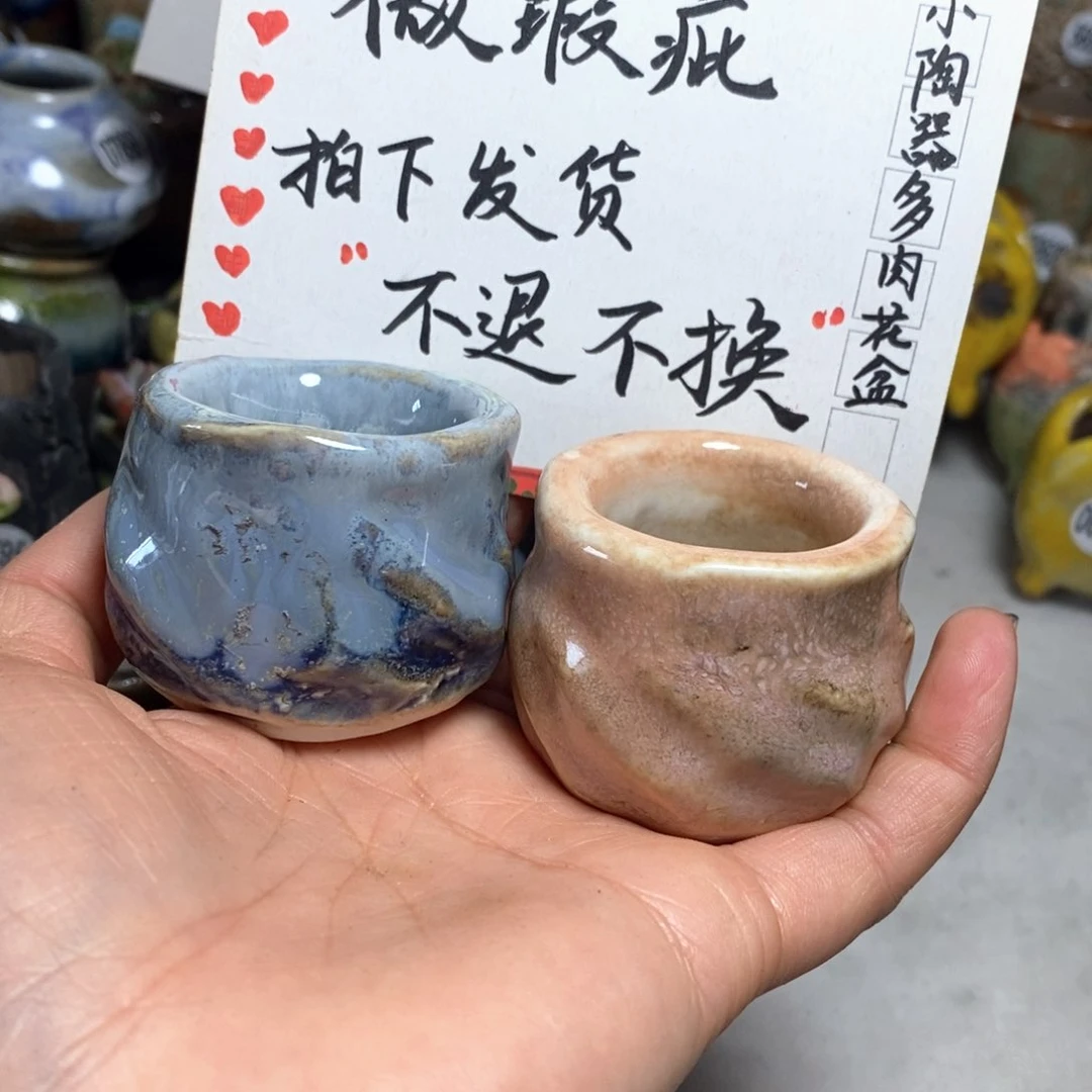 一**见花盆拍5个送一个小礼物