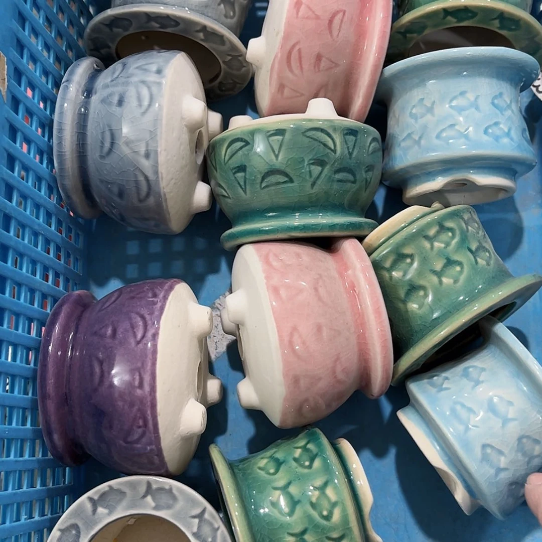 【闪购商品】红陶随便12个